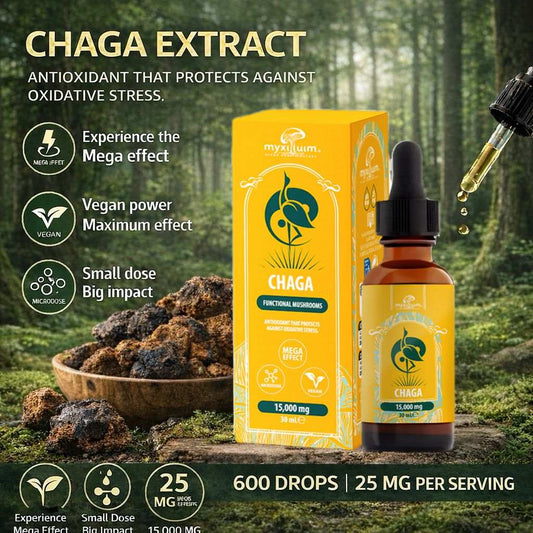 Chaga Myxilium 15 000mg - Extrait Champignon Antioxydant & Immunité