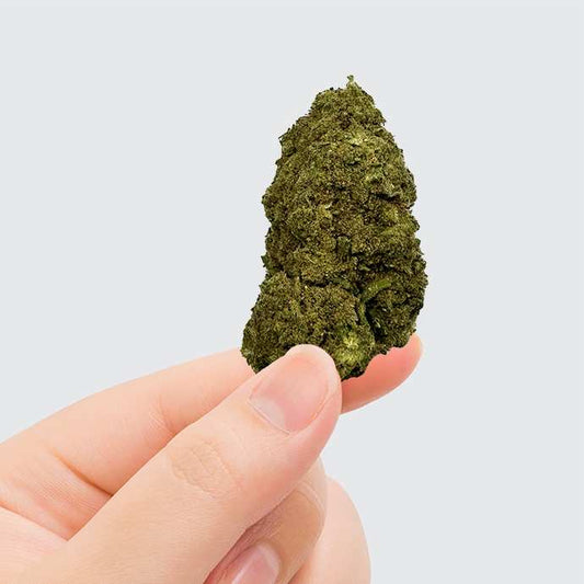 Fleur CBD Pink Lady Kush Greenhouse — CBD > 11% | Greenvaya