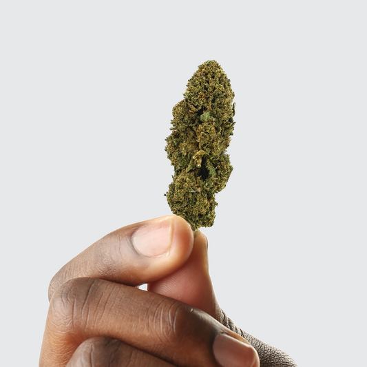 Fleur CBD White Dawg Greenhouse — CBD > 16% | Greenvaya