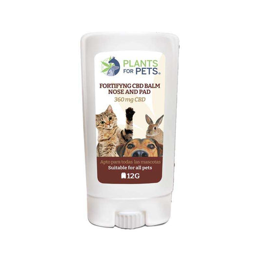 Baume CBD fortifiant animaux 360 mg – PLANTS FOR PETS | Sans parfum