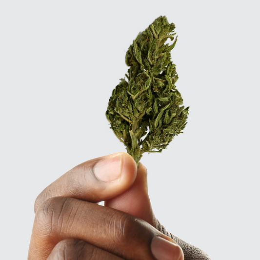 Fleur CBD Euphoria Greenhouse — 6% CBD | Greenvaya