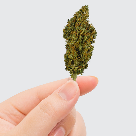 Fleur CBD Sherbet Greenhouse — 11% CBD | Greenvaya