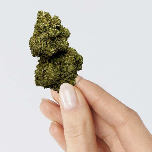 Fleur de CBD - RAINBOW KUSH