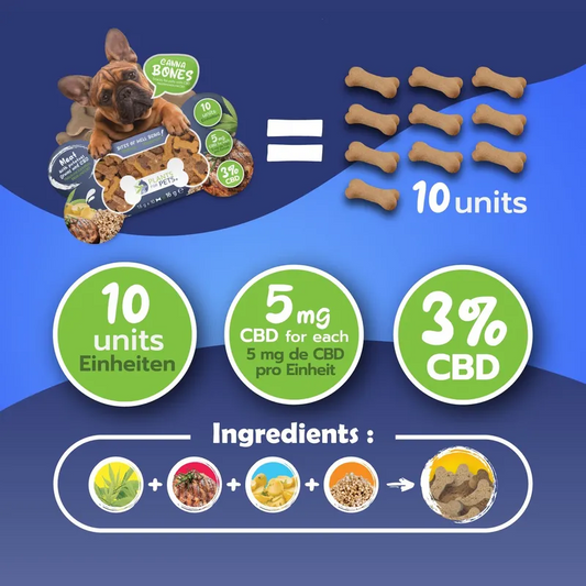 Friandises CBD pour chien 5 mg – PLANTS FOR PETS Cannabones (x10) 16 g | Tous chiens