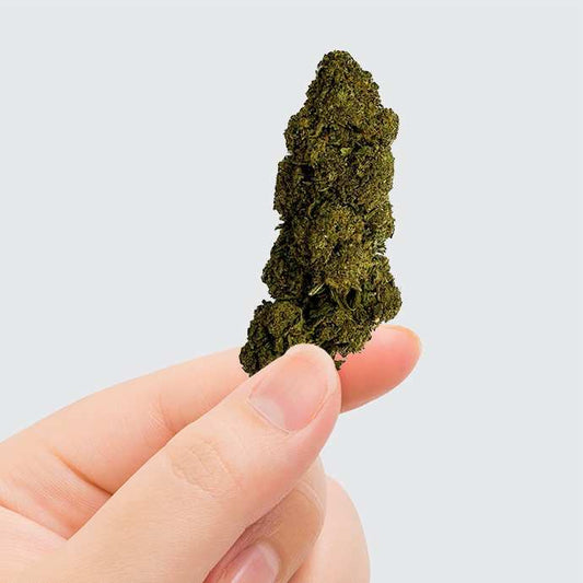 Fleur CBD Charlotte’s Web Greenhouse — >14% CBD | Greenvaya