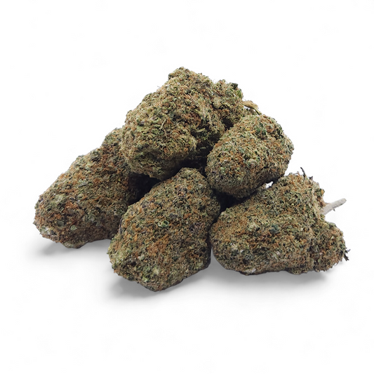 Fleur CBD Gelato Glue Indoor Premium — 13% CBD, terreux & fruité | THC <0,3%