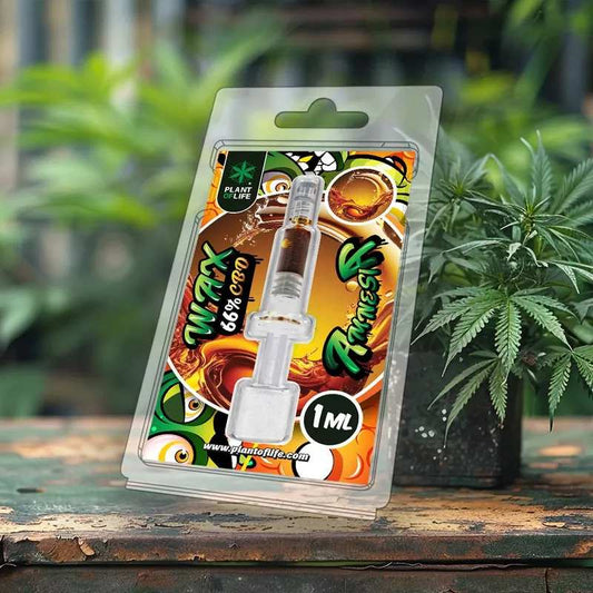 Wax CBD Amnesia 66% — Seringue 1 ml | Plant of Life
