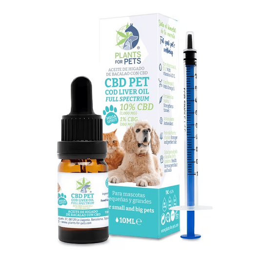 Huile CBD Animaux 10% + CBG 1% Full Spectrum | Plants for Pets