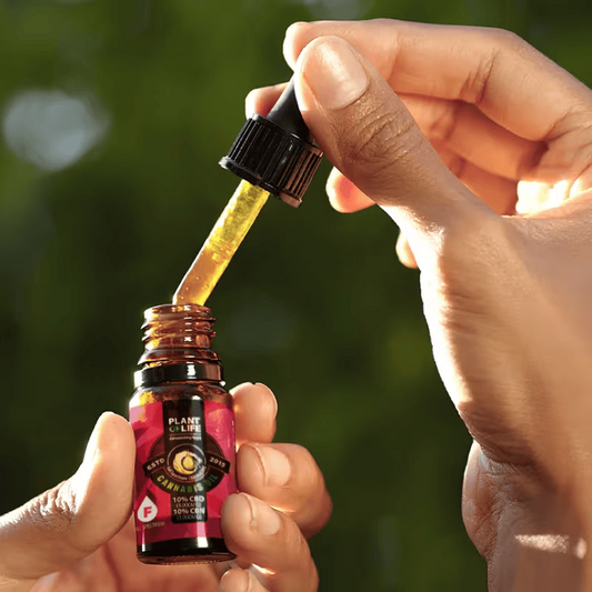 Huile CBD/CBN 10% + 10% – Full Spectrum – Nature 10 ml | PLANT OF LIFE