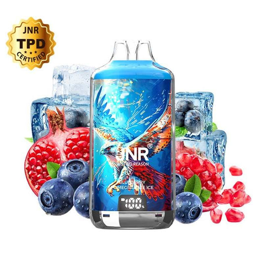 Puff rechargeable Falcon-X Plus 28K JNR – Blueberry Pomegranate Ice (20 mg sels de nicotine)