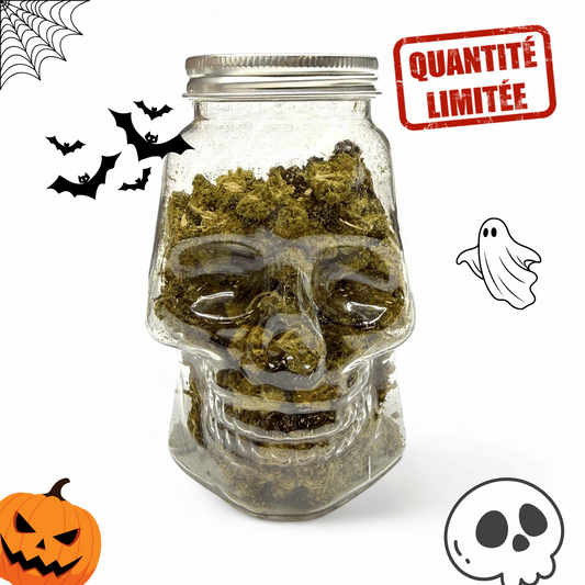 Fleurs CBD Small Buds Skull Halloween 25g – Bocal Tête de Mort (Édition Limitée)