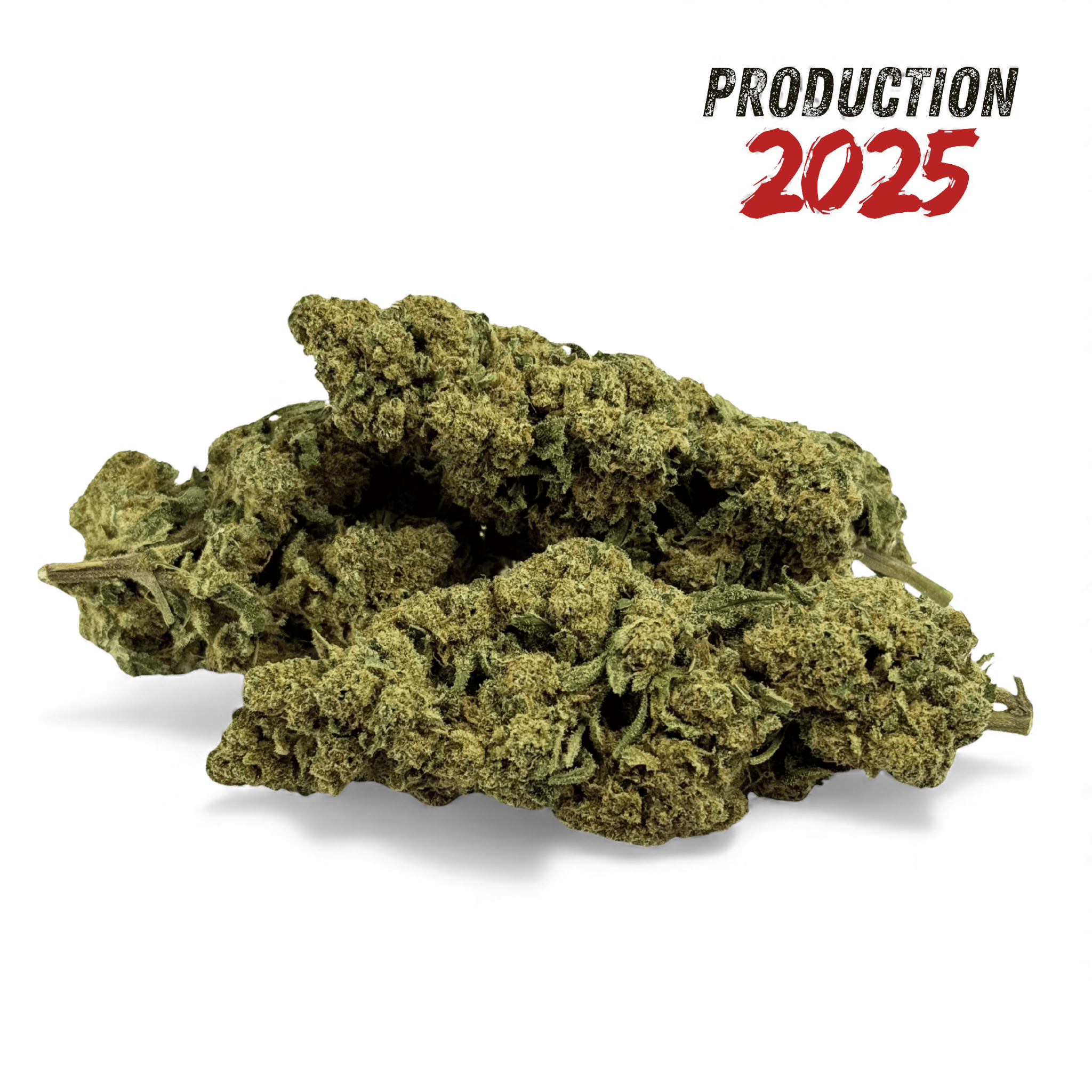 Fleur de CBD Super White Frost Greenhouse - Qualité Premium