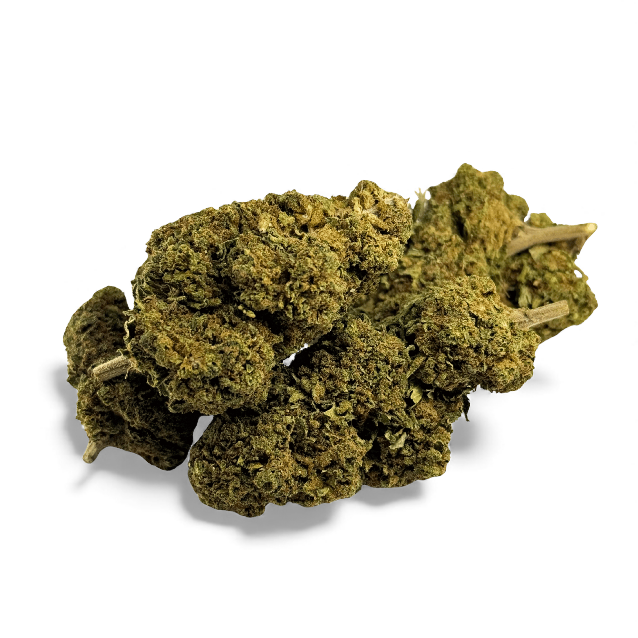 Fleur CBD Black Mamba 🐍 Greenhouse Italie