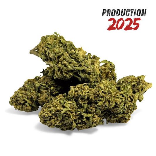 Fleur CBD Banana Smash 🍌 Greenhouse Italie